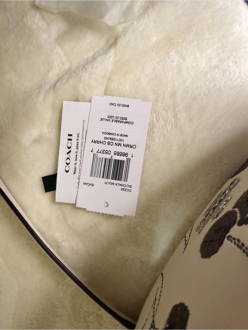 Coach Carmen Mini Crossbody Bag With Cherry Print NWT - Picture 11 of 16
